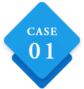 CASE01